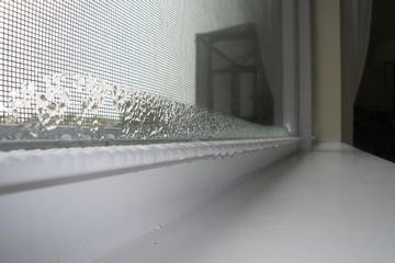 Window Condensation 360x240.fw